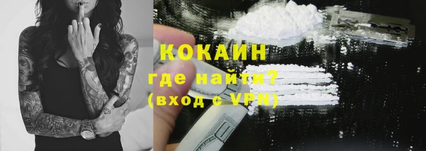 стафф Бородино