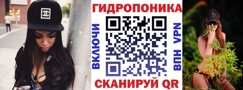 Конопля гибрид  Купить закладки  Киселёвск 